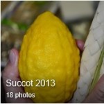 Succot 2013