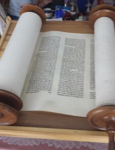 Torah Shiffman Compress